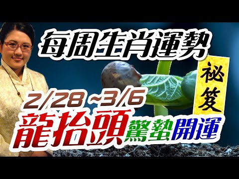 龍抬頭求財 驚蟄開運。2022生肖運勢週報｜2/28-3/6｜金玲老師（有字幕）