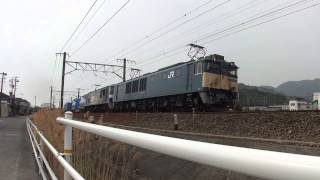 重連 EF64 1014号機+EF210-166号機牽引950レ 安倍川駅~用宗駅間通過