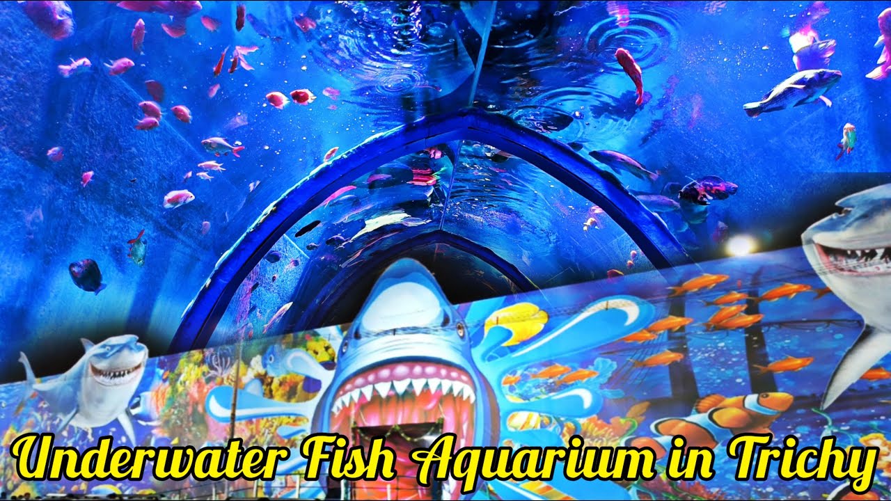 Underwater Fish Aquarium in Trichy 🐠🐋🐟 Trichy Exhibition 2022