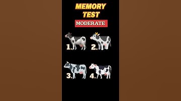Memory Test -6: Remember Me ? Memory Riddles for IQ Test | #riddles #quiz #shorts #shortvideo