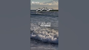 سورة قريش. #القرآن_الكريم #اكسبلور #القزابري #المصحف #الرحمن #دويتو #تيك_توك #لايك #راحة_نفسية