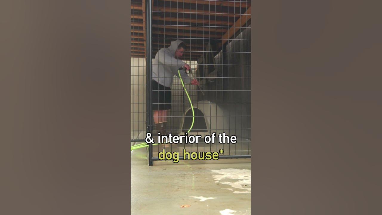 This is how I clean my dog kennels, keeping it clean is important to me