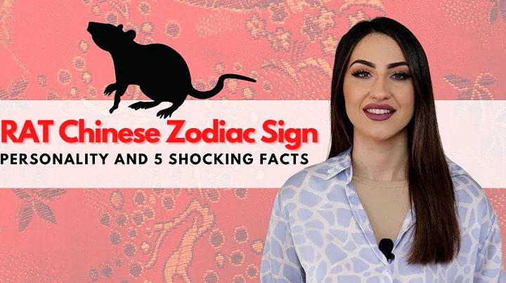 RAT Chinese Zodiac - Everything You Need To Know! - DayDayNews