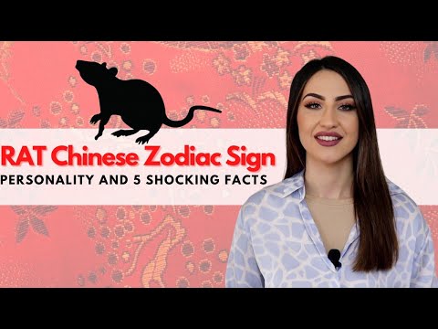 Rat Chinese Zodiac - Everything You Need To Know!