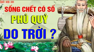 Sống Chết Có Số Phú Quý Do Trời ? Bạn Có Tin Vào Câu Nói Này ? Ngẫm Nhân Sinh