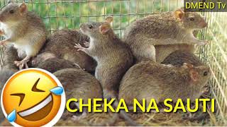 Panya Wajinga Wakijitamba