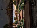 🌿 Amazing Garden Transformation | Before &amp; After #home #jardin #design #decor #ia
