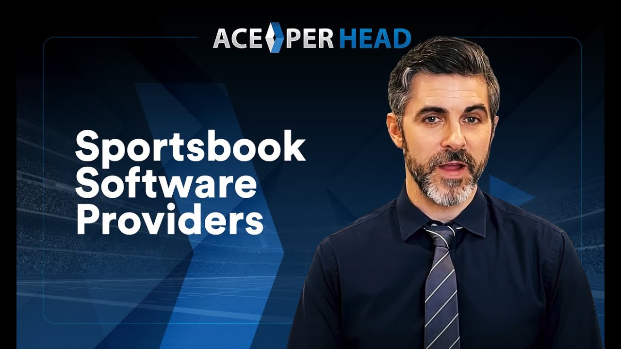 Sportsbook Software Provider: Increasing Per Player Revenue