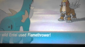 How to catch Entei Raikou and suicune. ORAS guide