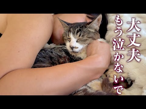 保護猫とのお別れで寂しくなった我が家。そんな僕たちに寄り添ってくれたのは、かつて衰弱していた老猫でした。