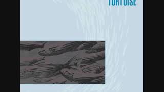 Tortoise - Millions Now Living Will Never Die  (Full album)