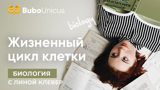 Жизненный цикл клетки. Видео 1 | БИОЛОГИЯ ЕГЭ | Лина Клевер