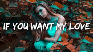 Little Mix - If You Want My Love (Lyrics)