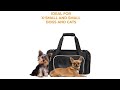 Pet Travel TSA Bag for Cats &amp; Dogs 2022