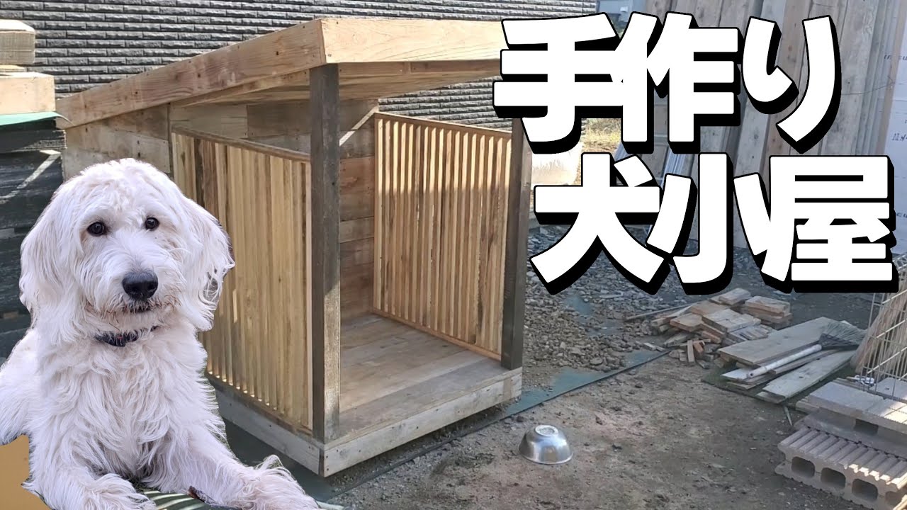 大工のパパが作る 手作り犬小屋 diy 片流れ屋根 おしゃれ - YouTube