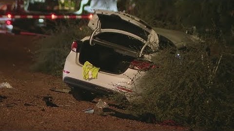 Man dies after driving wrong way on freeway, crashes head-on into semi