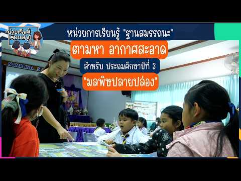 มลพิษปลายปล่อง