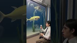Lab #makemefamous #funny #memes #jonmud #animation