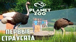 СТРОИМ ЗООПАРК С НУЛЯ - PLANET ZOO Франшиза #1