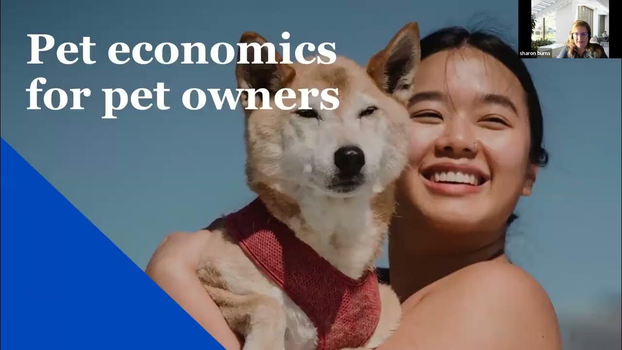 The True Cost of Owning a Pet Savvy Sessions YouTube