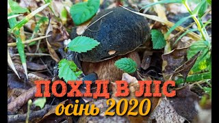 ПОХІД В ЛІС ПО ГРИБИ, ОСІНЬ 2020, ТИХЕ ПОЛЮВАННЯ У ВІННИЦІ