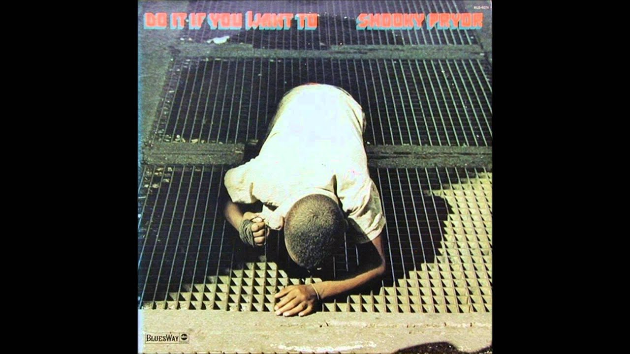 Snooky Pryor - Keep Your Fat Mouth Out Of My Business