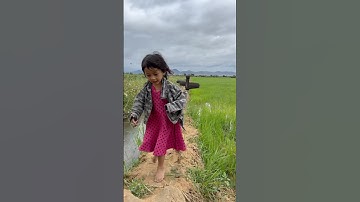 #short Big Anaconda Snake on Video 1 🐍 #snake #shorts #anaconda #python