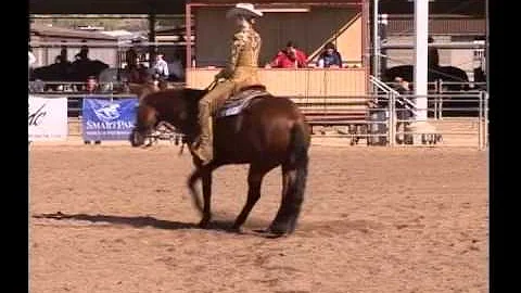 Mayers Lindley & Itsamazing Horsemanship Thurs.mp4