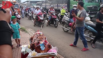 Tài xế mang heo “cúng” trạm thu phí tuyến tránh Biên Hòa