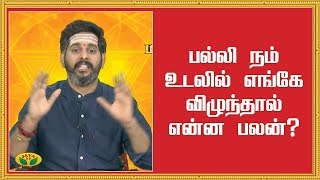 பல்லி நம் உடலில் எங்கே விழுந்தால் என்ன பலன்? | Sagunam | Bhakthi Magathuvam | JayaTV