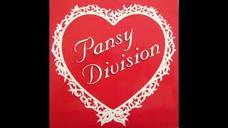 Watch Pansy Division Valentines Day video