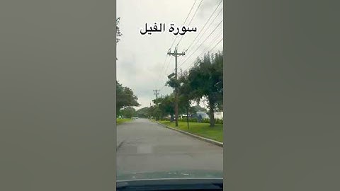 سورة الفيل بصوت خاشع يأخذك 🌙❤️ 💙 🌸 للخشوع | Egzon Ibrahim