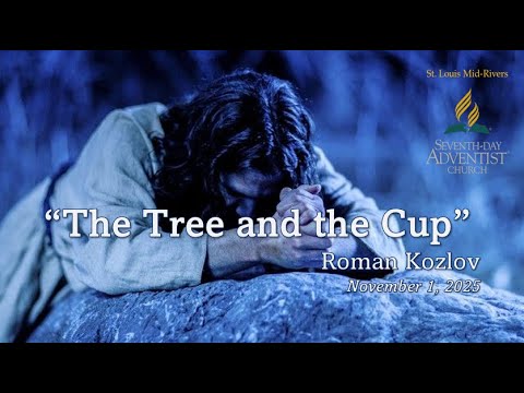 The Tree and the Cup