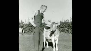 Video thumbnail of "Little Jimmy Dickens - Bessie the Heifer"