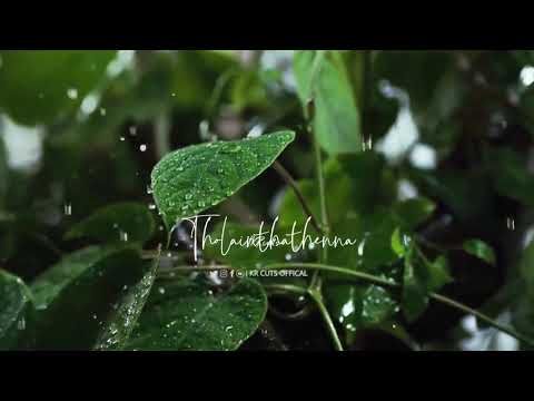 mazhai-kuruvi-💞ar-rahman-whatsapp-status-tamil💞krcuts✌