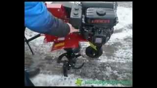 Мотоблок Pubert JUNIOR QV2 55L