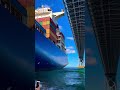 The Precision of Giants: Under the Bridge