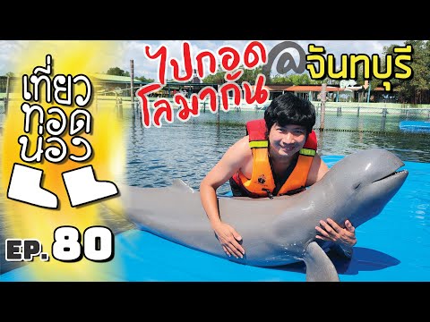 「เที่ยวทอดน่อง」Ep.80 ณ จันทบุรี | ไปว่ายน้ำกับโลมากัน ที่ โอเอซิส ซีเวิร์ล | Sekatong