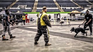 West Texas Hard Hitting Dog Show