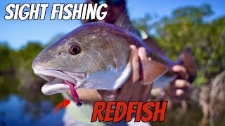 *EPIC* SIGHT FISHING for REDFISH with MICRO LURES!!! (Crazy Action) | Ozello, FL