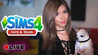 HELP ME MAKE CATS AND DOGS - The Sims 4 Cats and Dogs (LIVE)