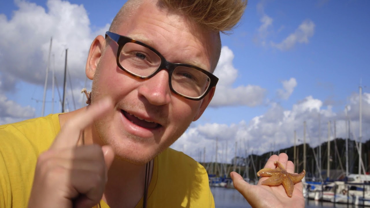 99 arter at se før du bliver voksen: SØSTJERNE