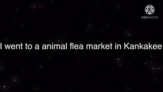 My trip to Kankakee flea market