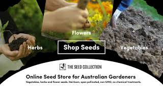 The Seed Collection