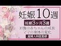 【妊娠10週】つわりのピーク？ダウン症の検査を検討？お腹の赤ちゃんの成長&ママの身体の変化｜妊娠3ヶ月3週