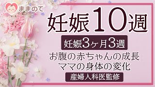 【妊娠10週】つわりのピーク？ダウン症の検査を検討？お腹の赤ちゃんの成長&ママの身体の変化｜妊娠3ヶ月3週