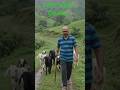 With Goats #animals #farming #short