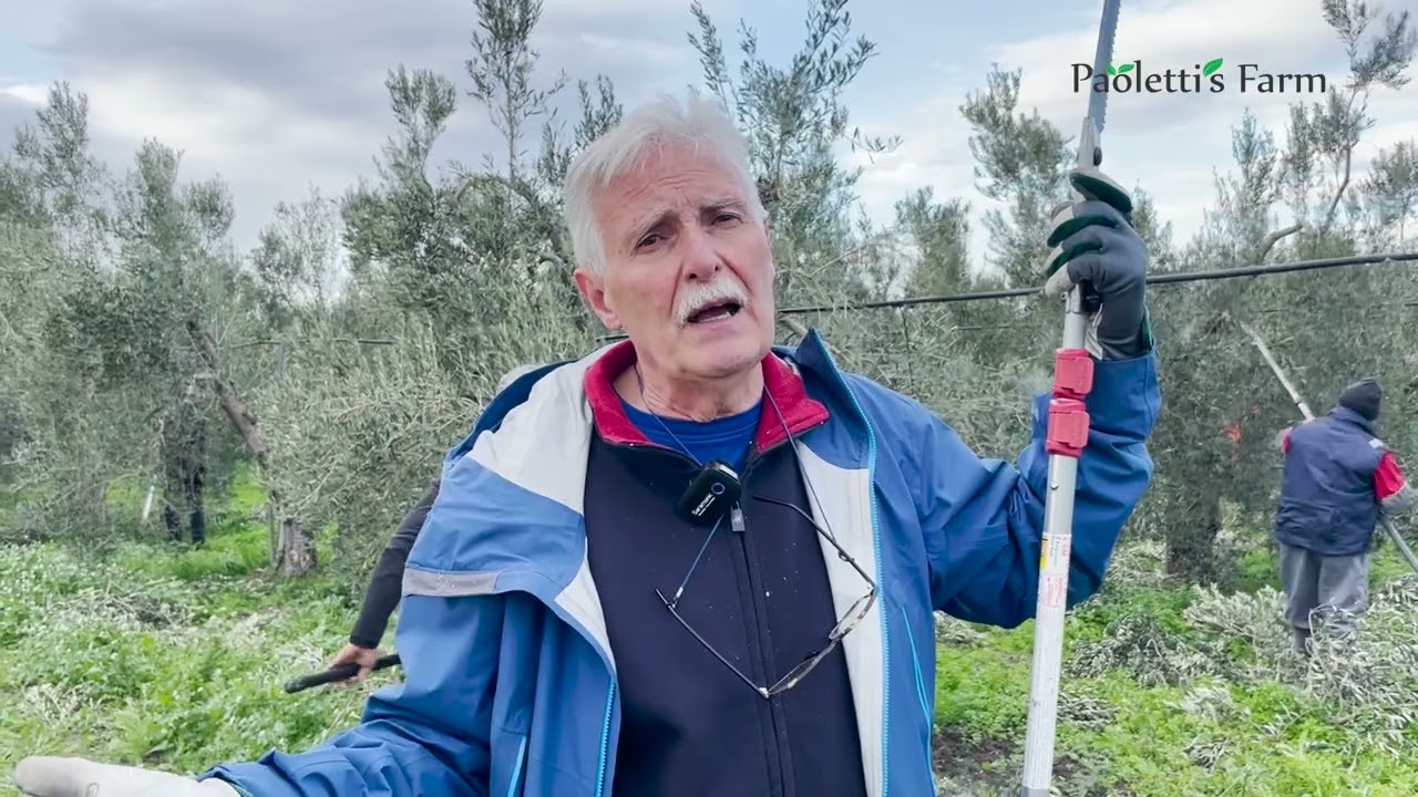 Potatura a Vaso Policonico con il Prof. Giorgio Pannelli