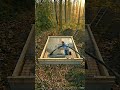 Concrete Minimal Forest Bedroom | Hidden Underground Bunker with Flush Ground Slab