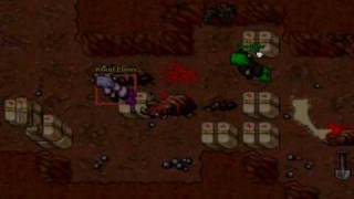 Tibia killing a botter speeded up